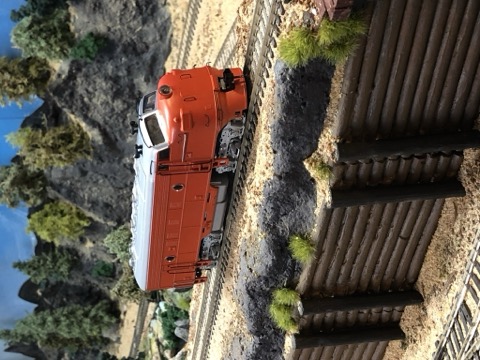 F7 Beside Crib Wall Forest