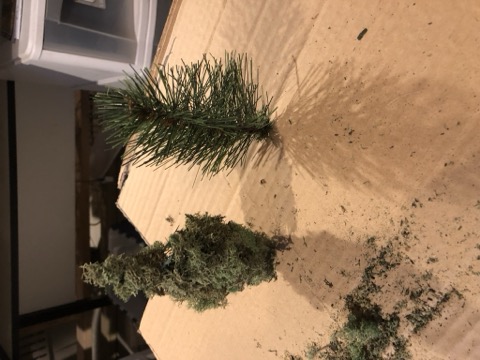 Branch Armature Lichen Tree Pair