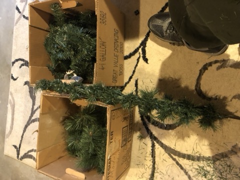 Donor Pine Branches Stripped Boxes