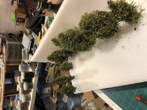 Finished Conifers Row Foam