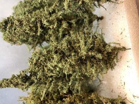 Foliage Blend Cardboard Tray