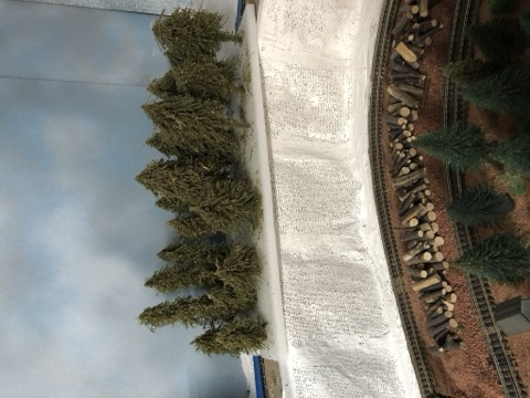 Forest Curve Backdrop Scene