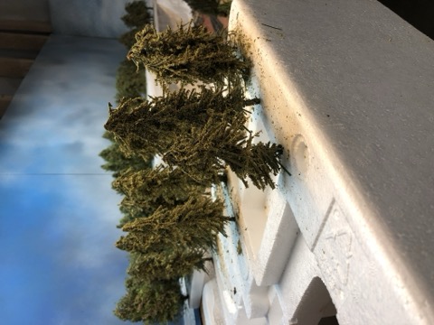 Forest Ledge Wide View