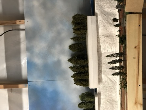 Forest Row Backdrop Sky Wide