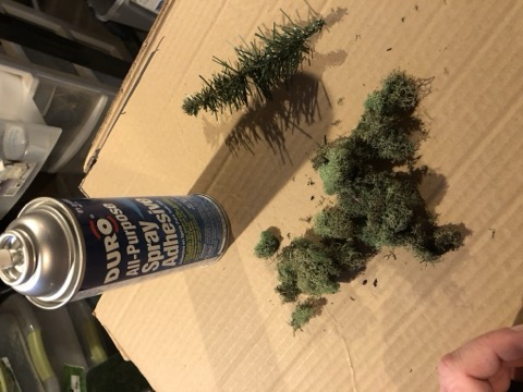 Lichen Foliage Sorting Cardboard