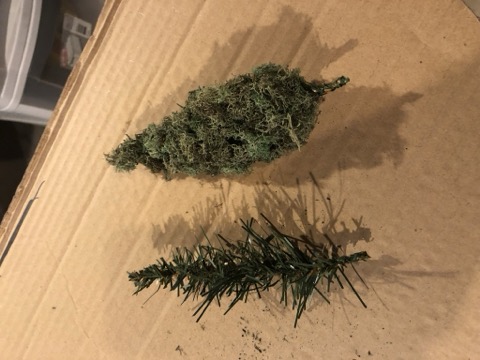 Tree Armature Lichen Prep