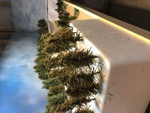 Tree Stands Foam Ledge Backdrop