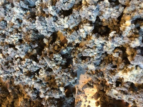 Blue Gray Foam Clumps Macro