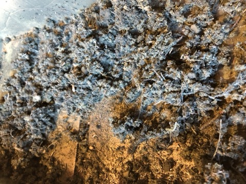 Foam Texture Earth Blend Macro