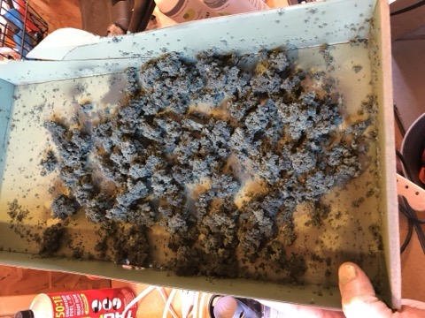 Foliage Tray In Hand Workshop