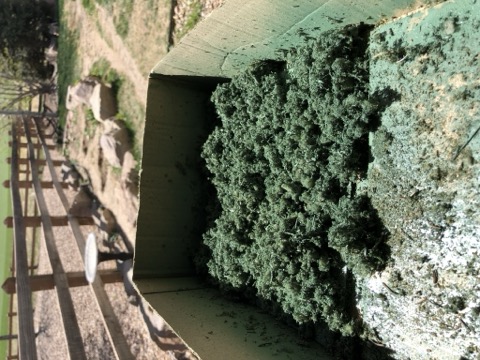 Ground Foam Box Trestle Scene