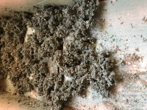 Homemade Foliage Clumps Batch