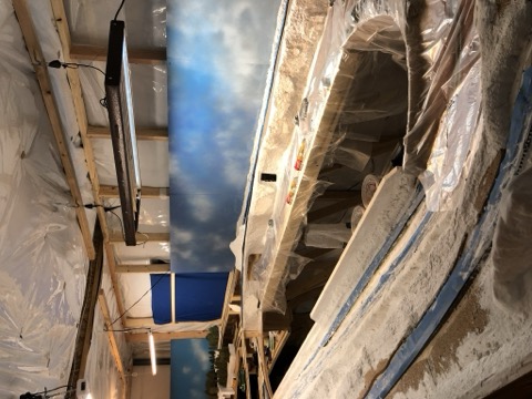 Plaster Terrain Layout Room Wide
