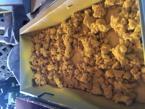 Couch Foam Golden Batch Drying Box