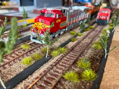 BNSF 4704 CN Trees Yard Scene