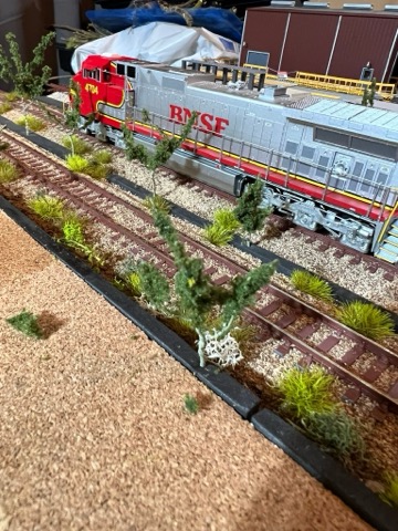 BNSF 4704 H2 Trees Wide