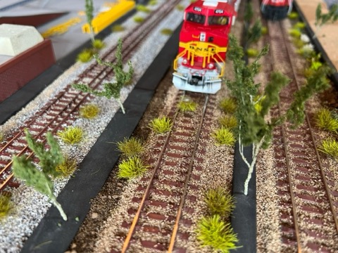 BNSF 4704 Weedy Track Approach