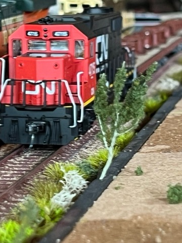 CN 4715 Nose Trees Vertical