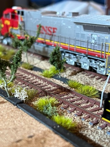 Warbonnet Side Trees Soft Focus