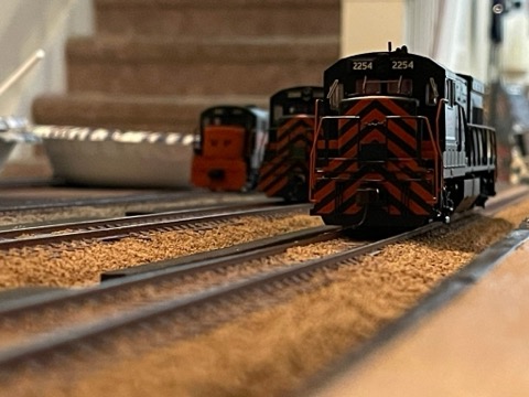 Zebra Stripe 2254 Lineup Head On