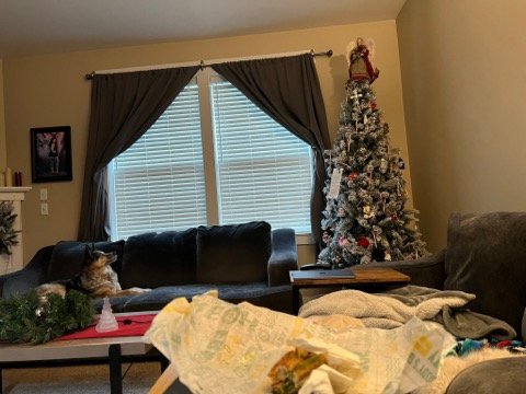 Living Room Christmas Dog