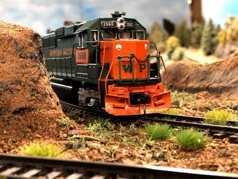 WP 3560 Head On Scenery Cut